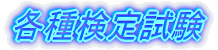 e팟莎